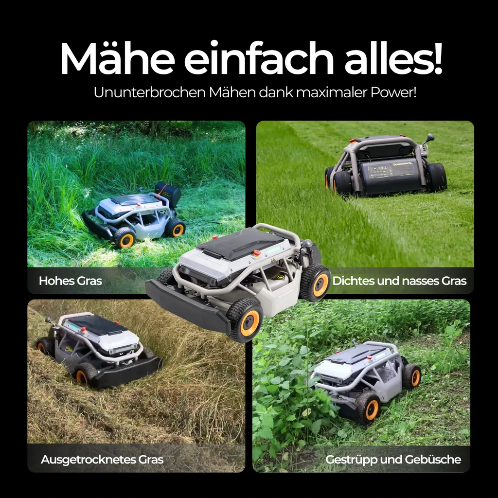 4wd_gras.webp